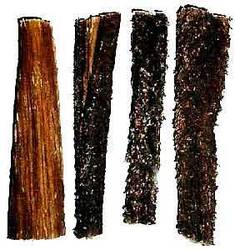 Tripe Black